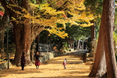 晩秋　積田神社