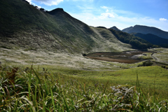 ススキの山 ススキの山