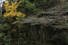 秋寒　赤目四十八滝