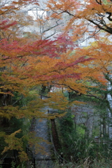 錦秋の山寺