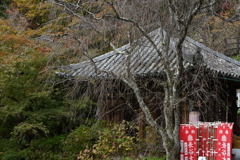 長谷寺　秋景色