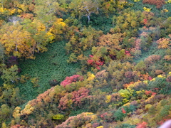 北海道　色づく大地　旭岳