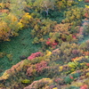 北海道　色づく大地　旭岳