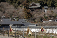 初瀬の冬景色