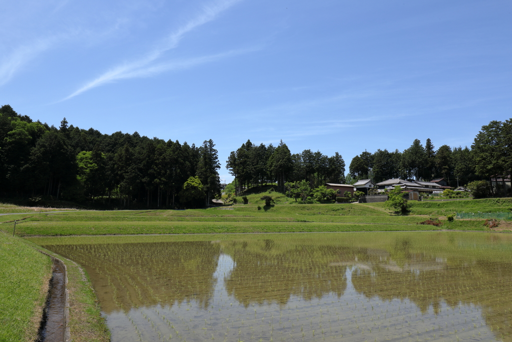 田植え終わる