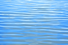 波　WAVE