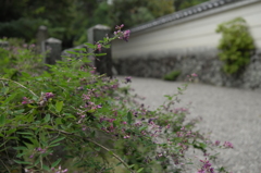 奈良　秋篠寺