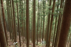 奇岩の神社　赤岩尾神社