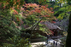 秋麗 室生寺