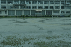 雨の午後