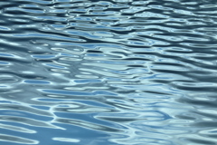 波　WAVE