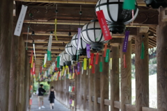 夏の長谷寺