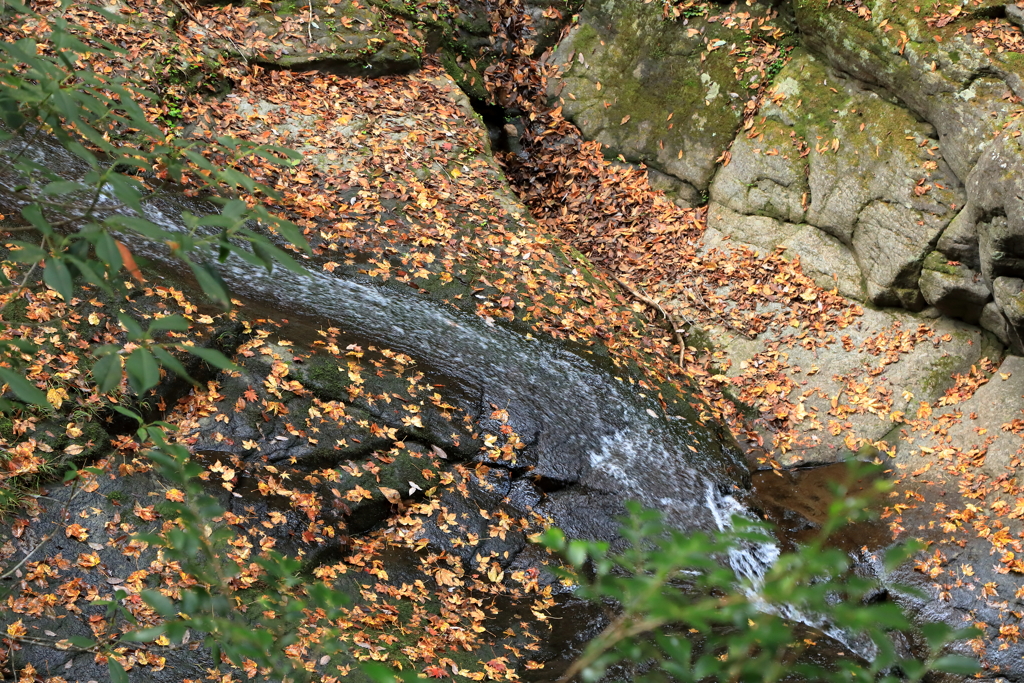 秋の赤目渓谷