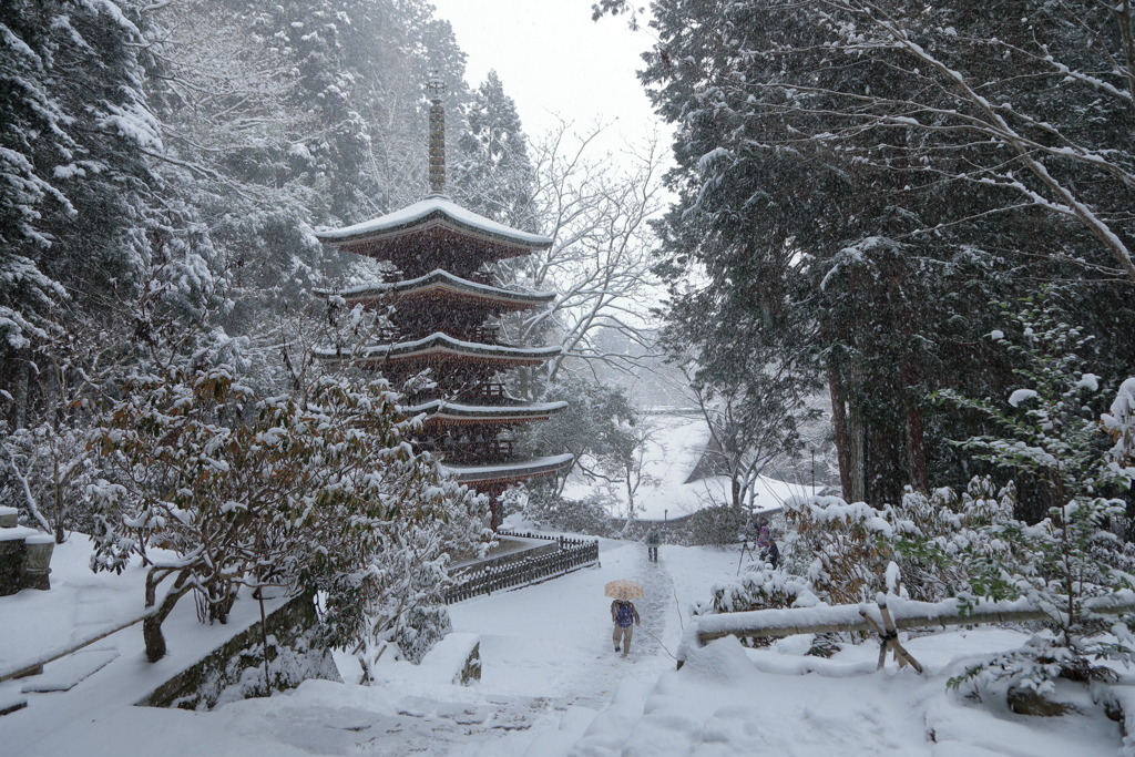 室生寺モノクローム
