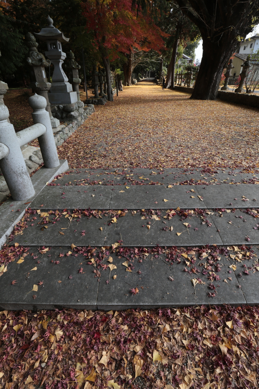 紅葉の積田神社 Part2