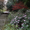 石楠花の寺