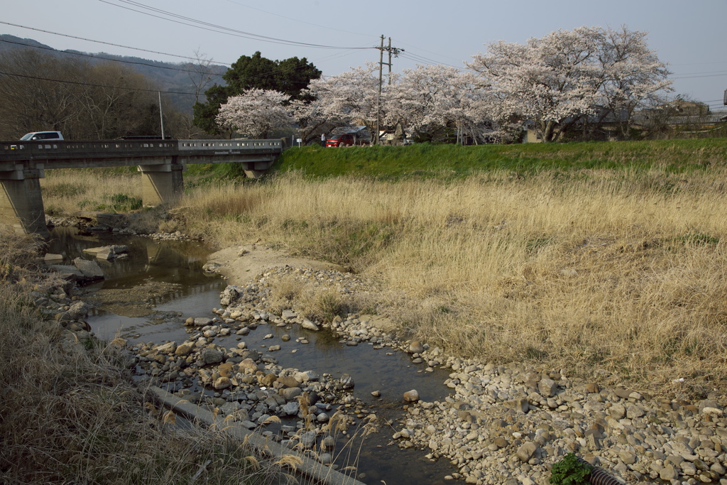 川堤にて