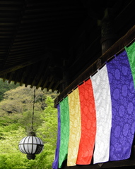 長谷寺　本堂