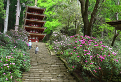 春めく室生寺