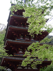 長谷寺　五重塔