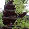 長谷寺　五重塔