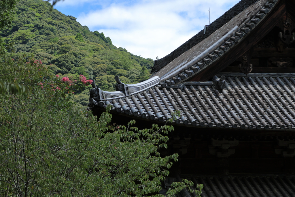 夏の長谷寺