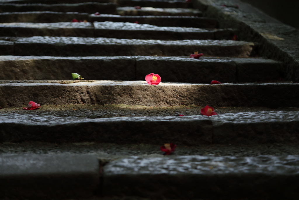 出張散歩　大村神社