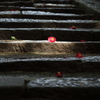 出張散歩　大村神社