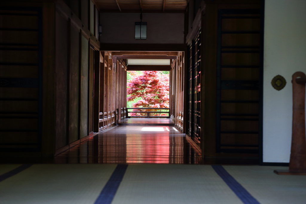 ５月の長谷寺　本坊