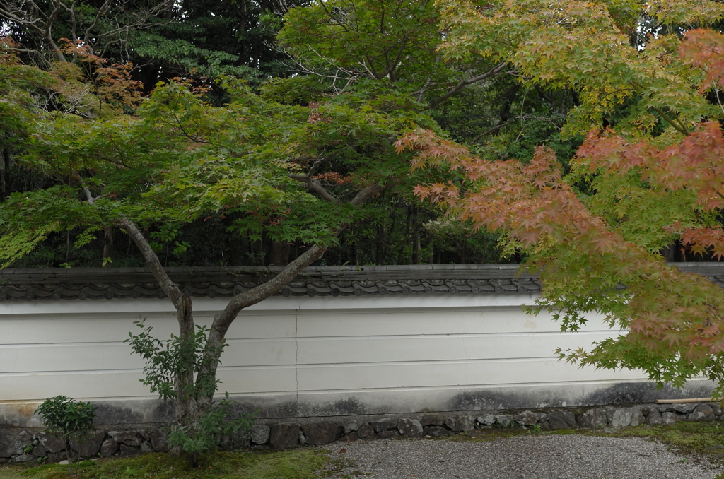 奈良　秋篠寺