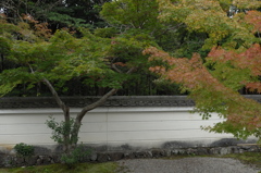 奈良　秋篠寺