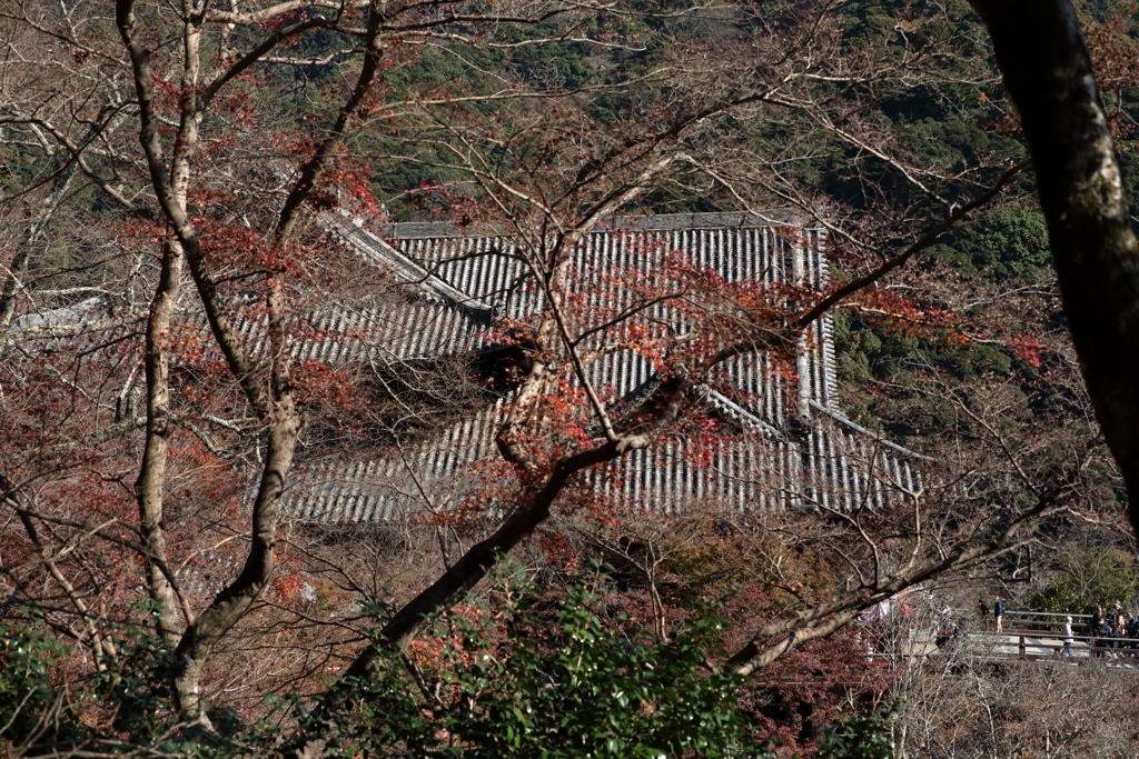 長谷寺　晩秋