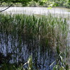森林公園のひと時
