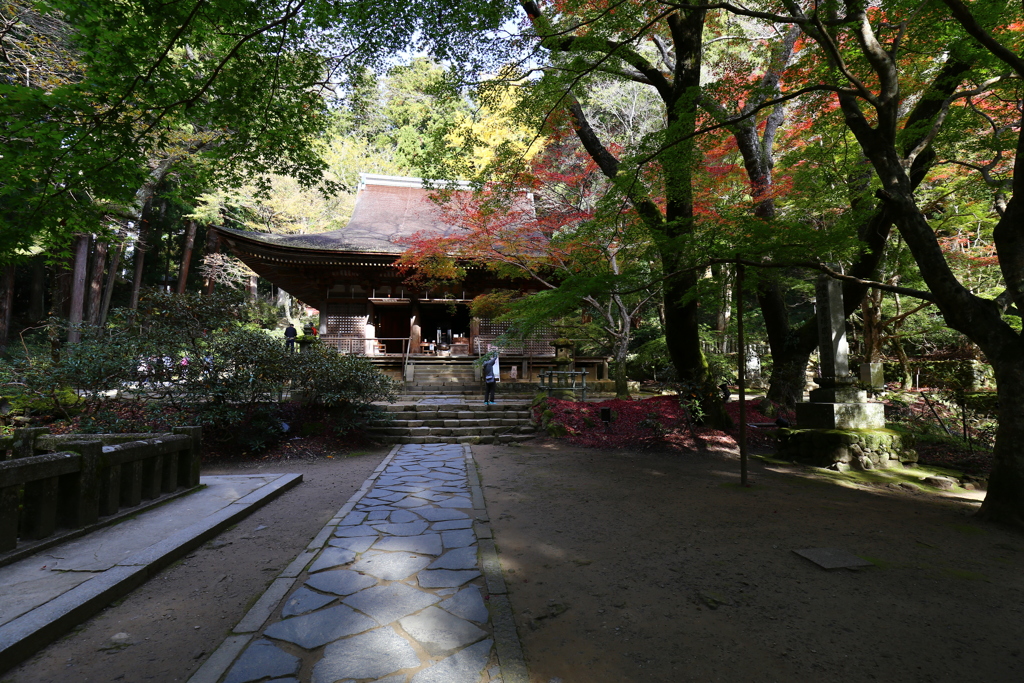 秋麗 室生寺