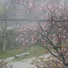 雨のち晴れ