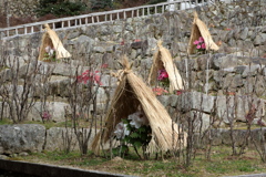 冬の景色