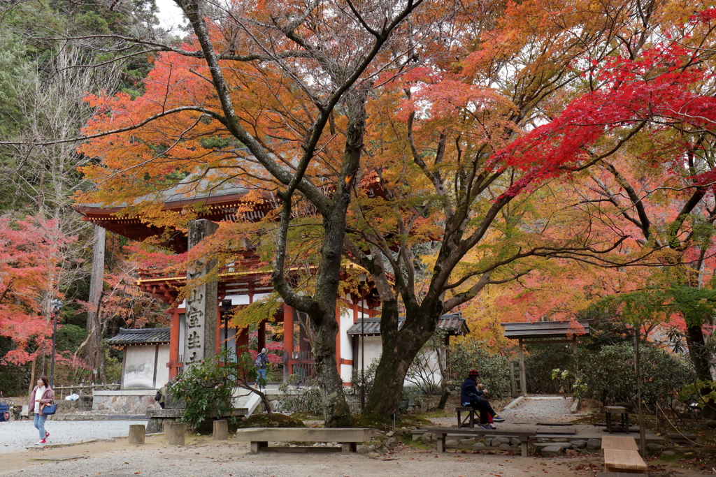 室生寺の秋