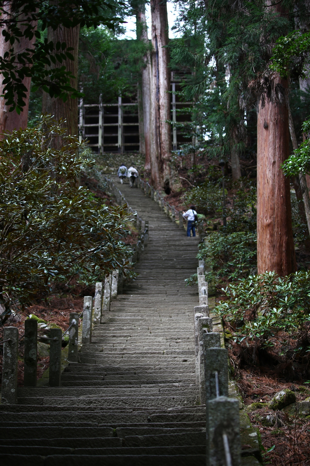 室生寺　幽邃