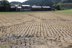 チョット散歩