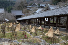 冬の景色