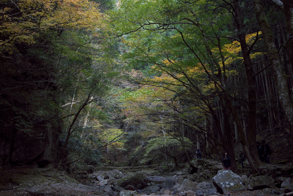 赤目　深山幽谷