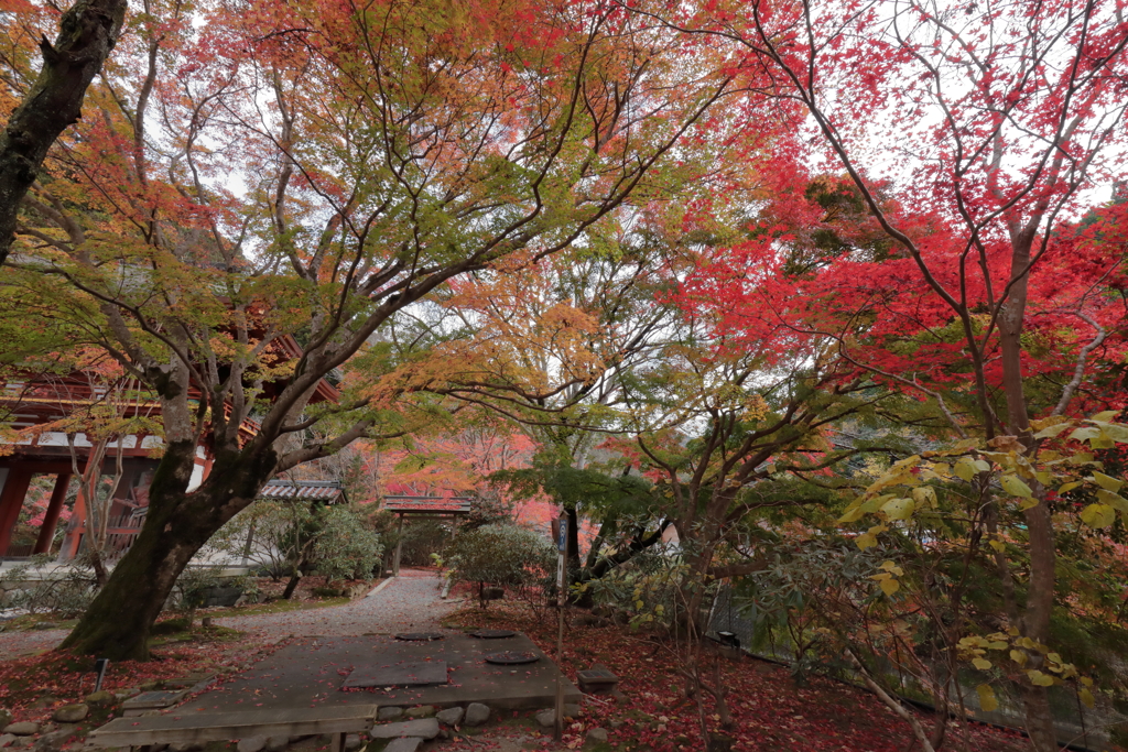 秋深まる室生寺