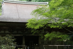夏の室生寺　本堂