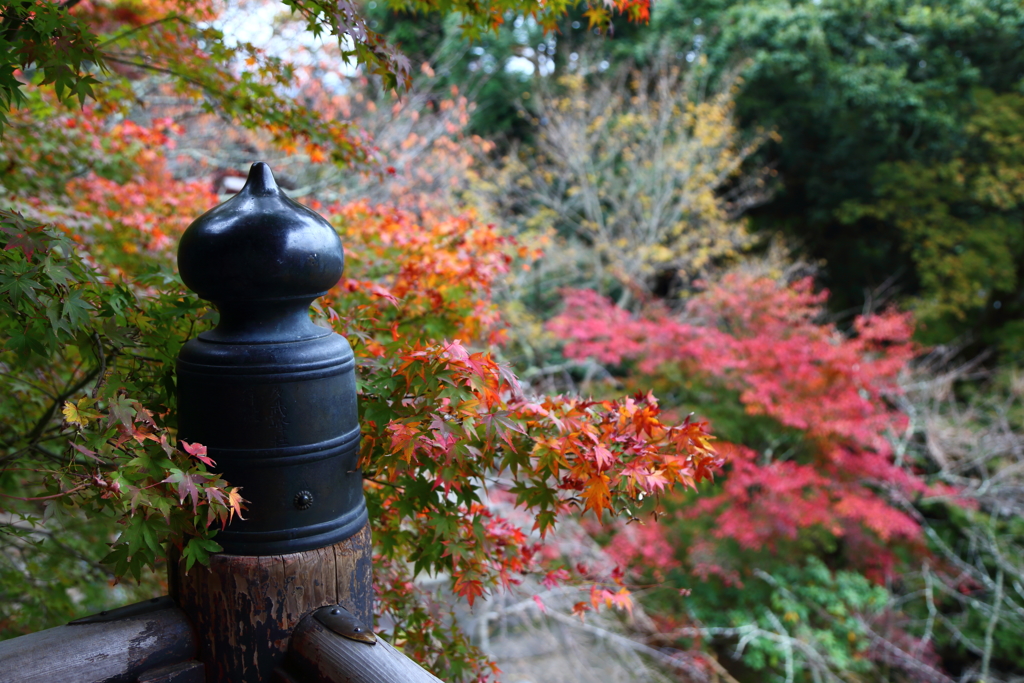 秋づく談山神社