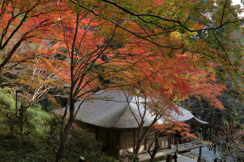 室生寺の秋