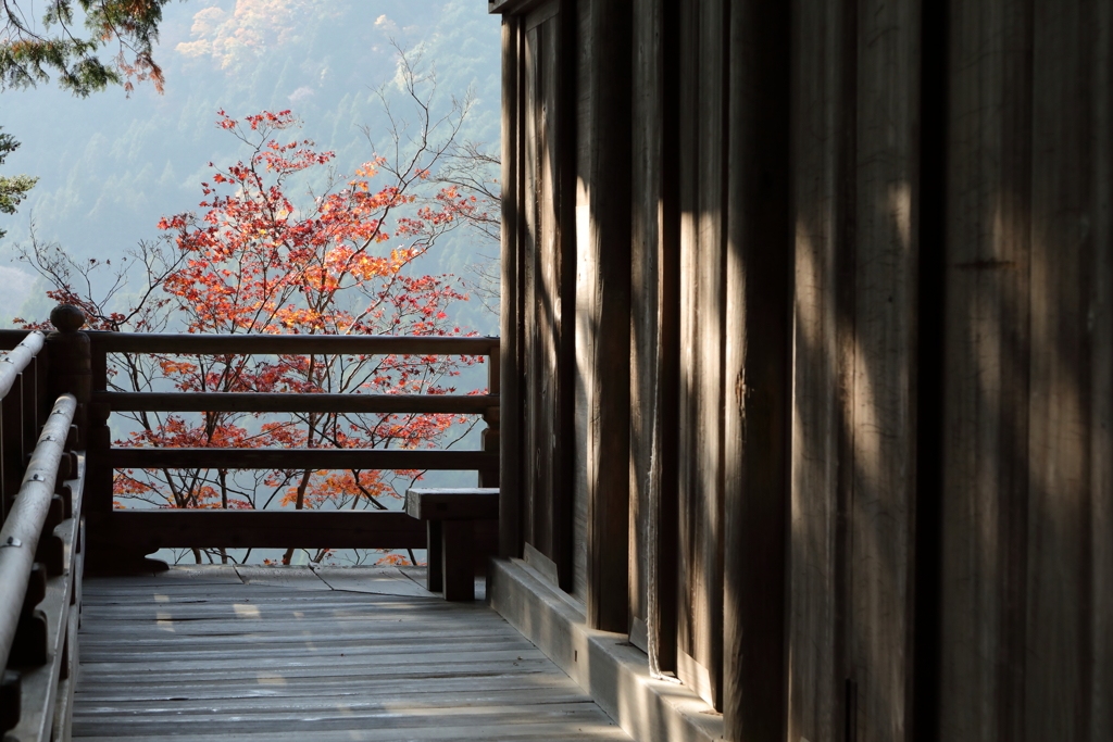 室生寺の秋