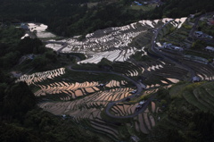 丸山千枚田