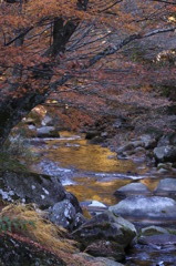 昇仙峡紅葉