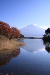 田貫湖からの富士