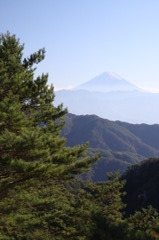 遠く富士を望む